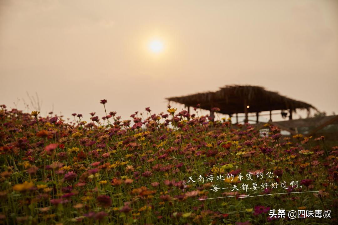 向前看向钱看全文,向前看向钱看完整视频