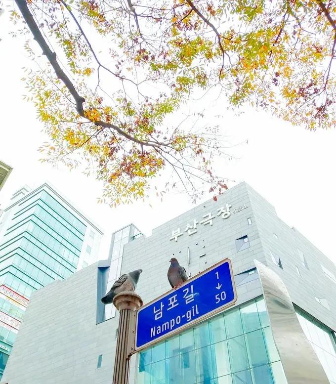 邮轮上班对身体有什么影响,在邮轮上班有危险吗