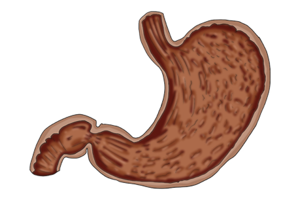 饥饿使人长寿有道理吗,饥饿使人长寿的好处