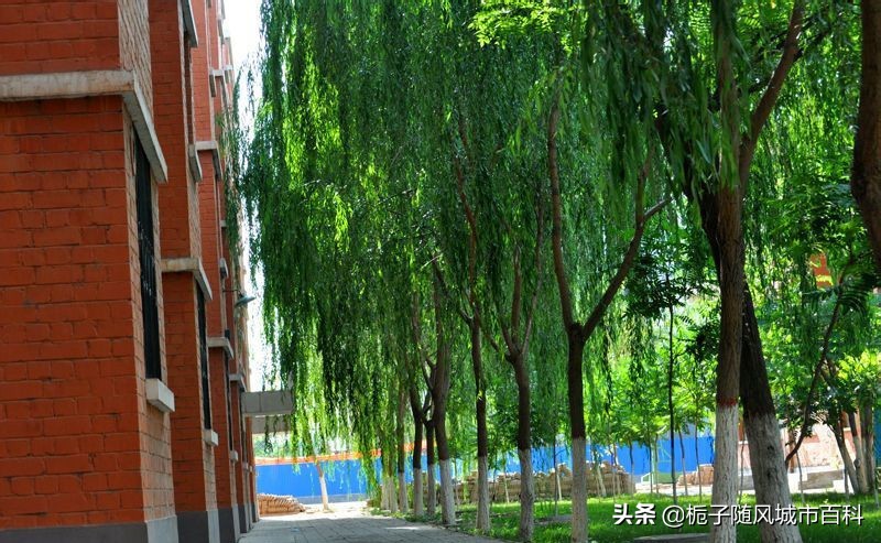 宁夏自治区最好的10所大学一览