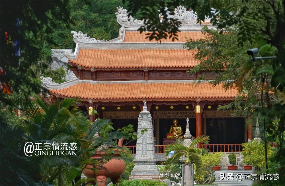 芽庄印象｜|想说爱你不容易