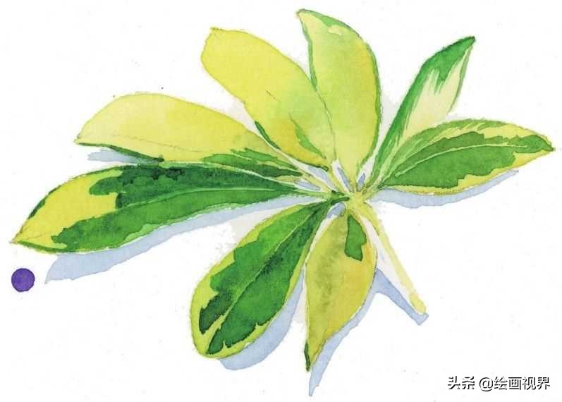 怎么才能画好水彩画,如何画好水彩只需掌握这5点