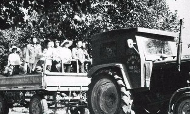 魏振芳捡到一个价值十亿的大钻石,魏振芳捡到钻石的视频