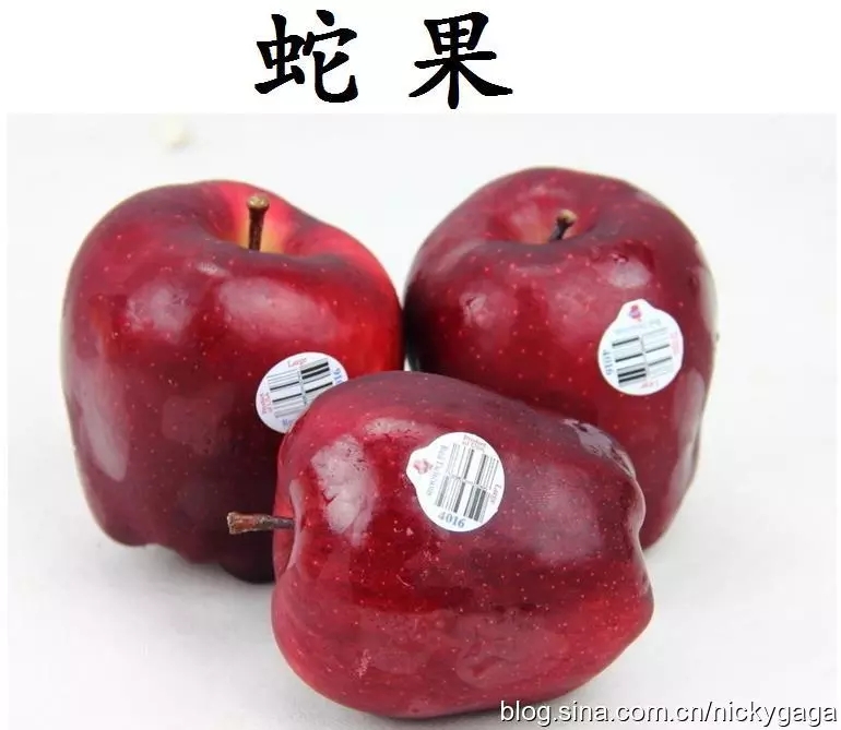 香港的这些菜牌，你都看懂了吗？