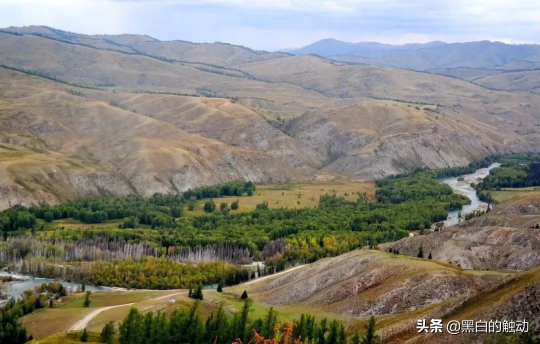 都说新疆好去新疆发展可靠么,都说新疆好地方