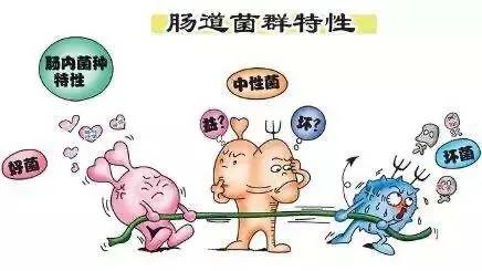 长期服用阿莫西林有什么危害吗,阿莫西林有什么治疗效果