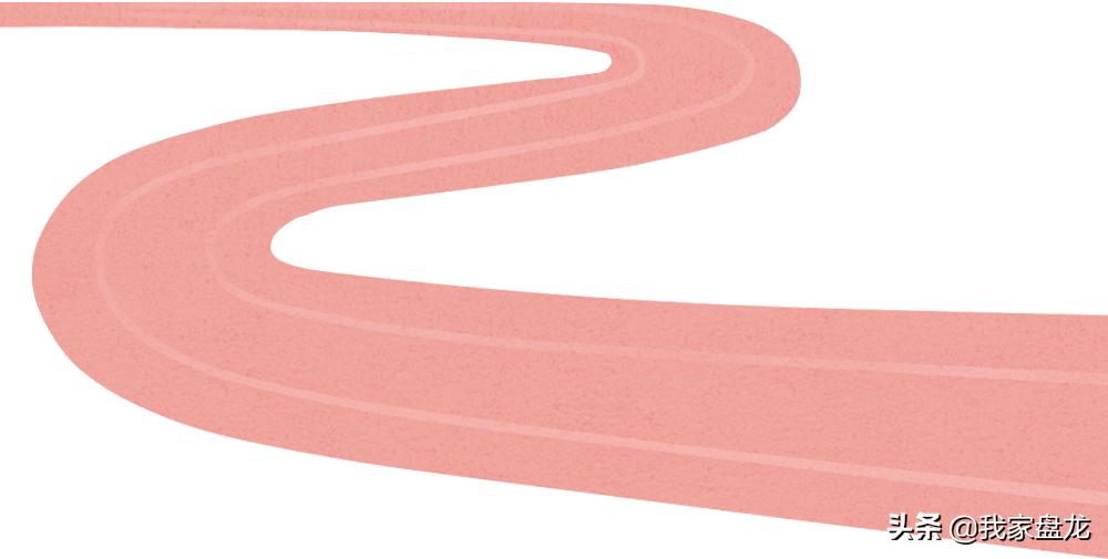 盘龙高中,盘龙学校高中