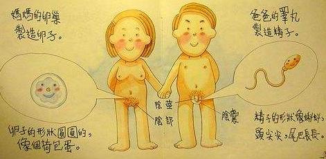 花大钱给孩子报培训班，却忘了陪孩子一起*启蒙性**的家长们