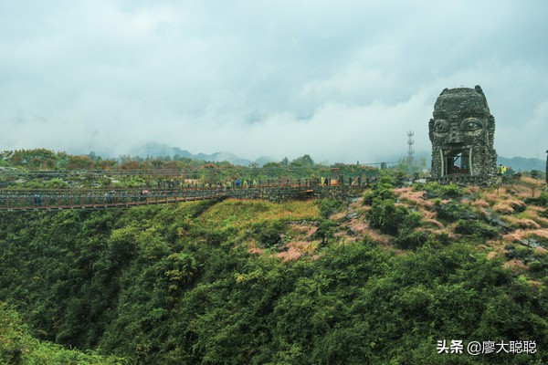 重庆这片花海你还没有来打开，那你就输了
