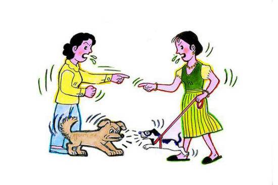 爸妈不让养狗怎么办,小区不让养狗狗狗如何处理