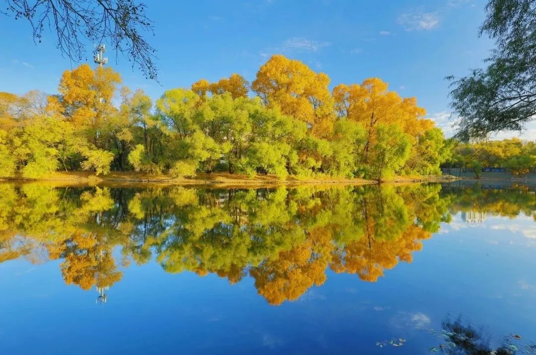 仙鹤起舞水粉画,仙鹤起舞展翅飞