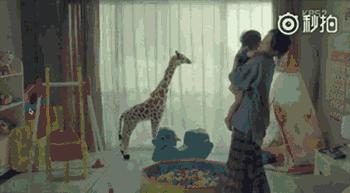 大s和妹妹聊生育观,大s谈论的生育观你赞成吗