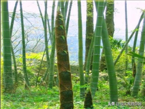 二下语文园地二字词句运用朗读,二下语文园地五字词句运用的视频