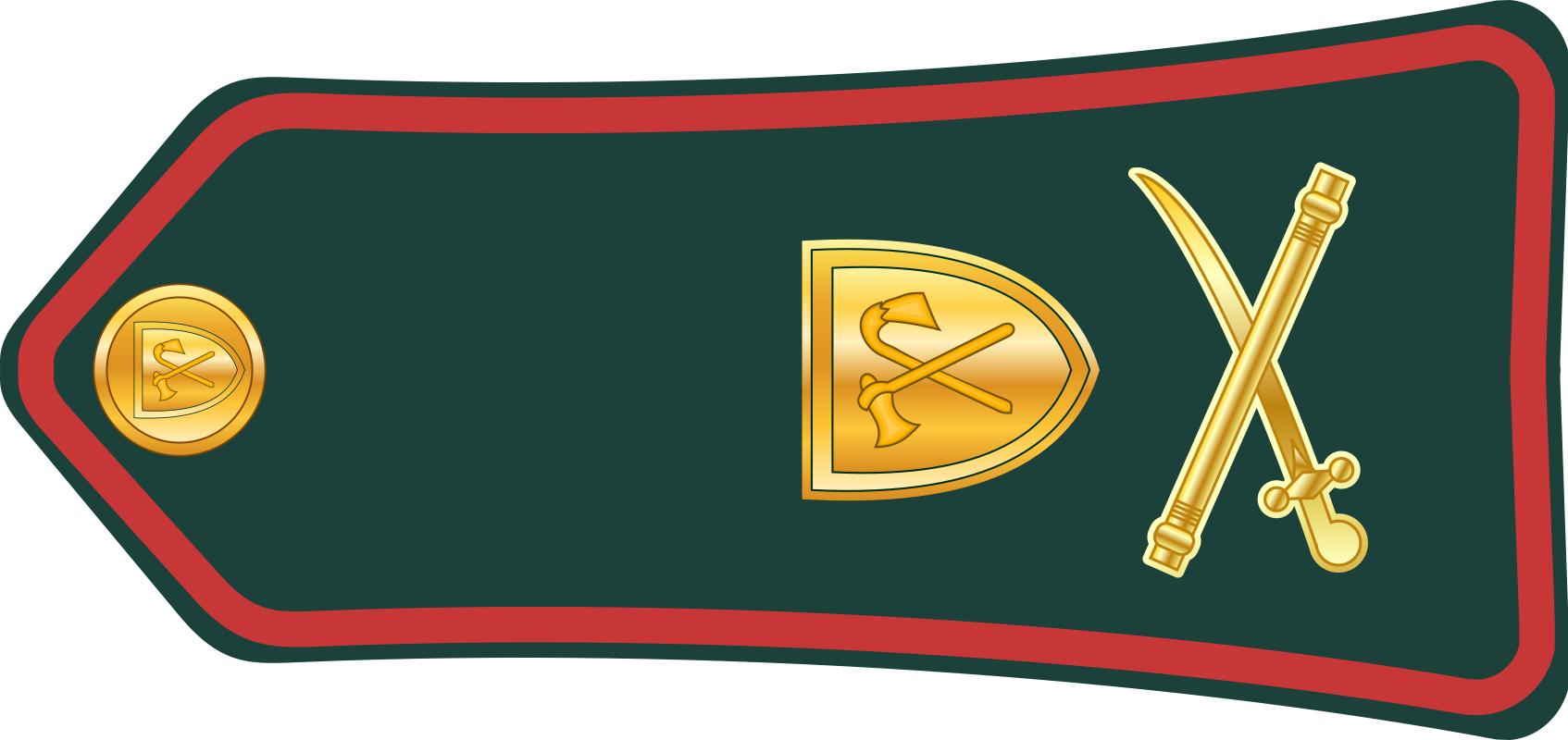 西亚各国军衔,各国军衔标识坦桑尼亚