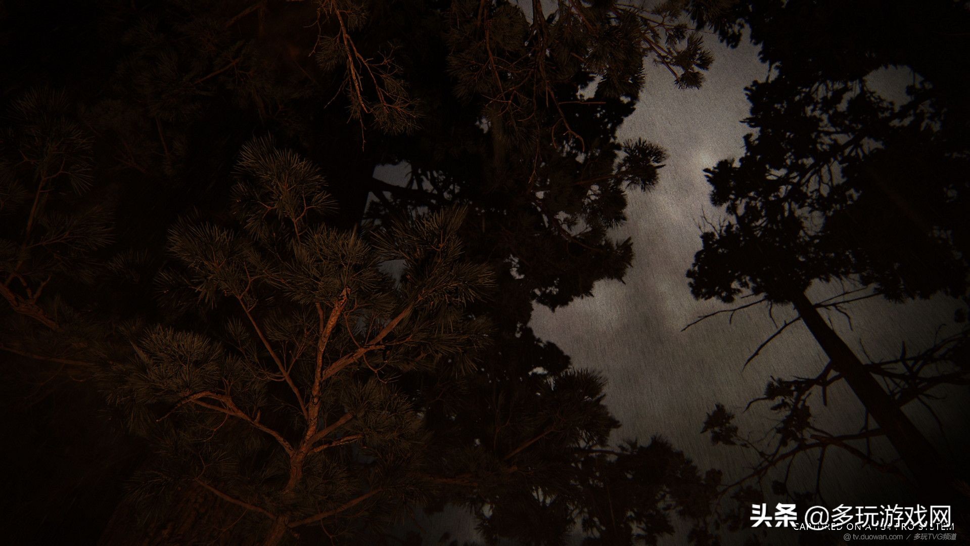 ps4最后生还者2在哪里下,最后生还者2官方预告