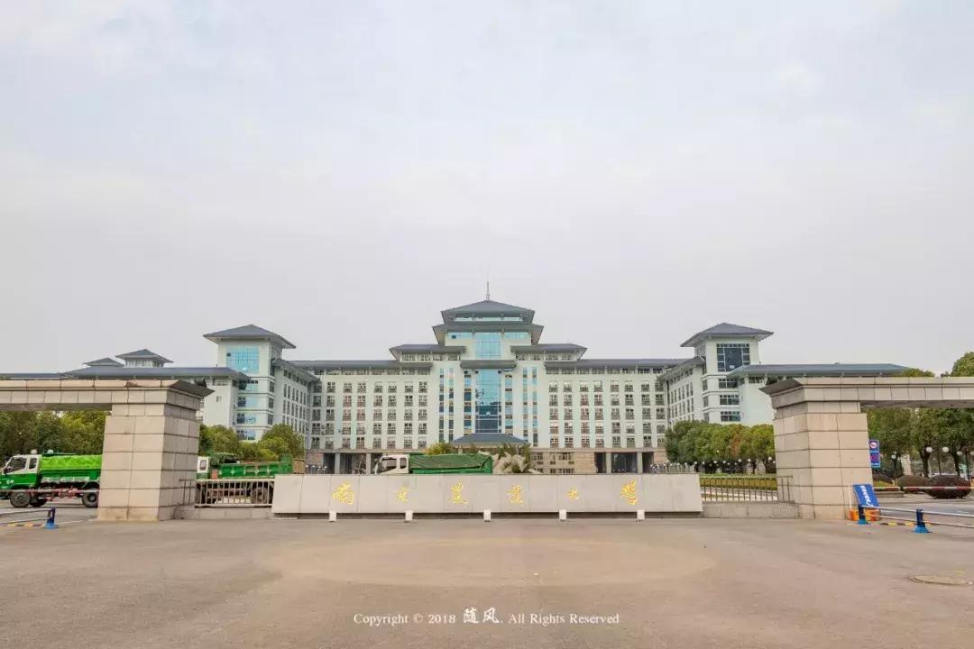 南京的大学学校面积,南京的大学有哪些