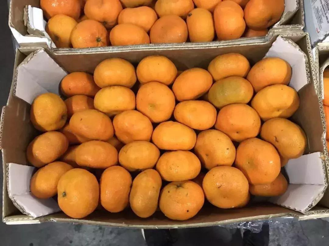 进口水果贵的原因在哪里,进口水果有哪些猫腻