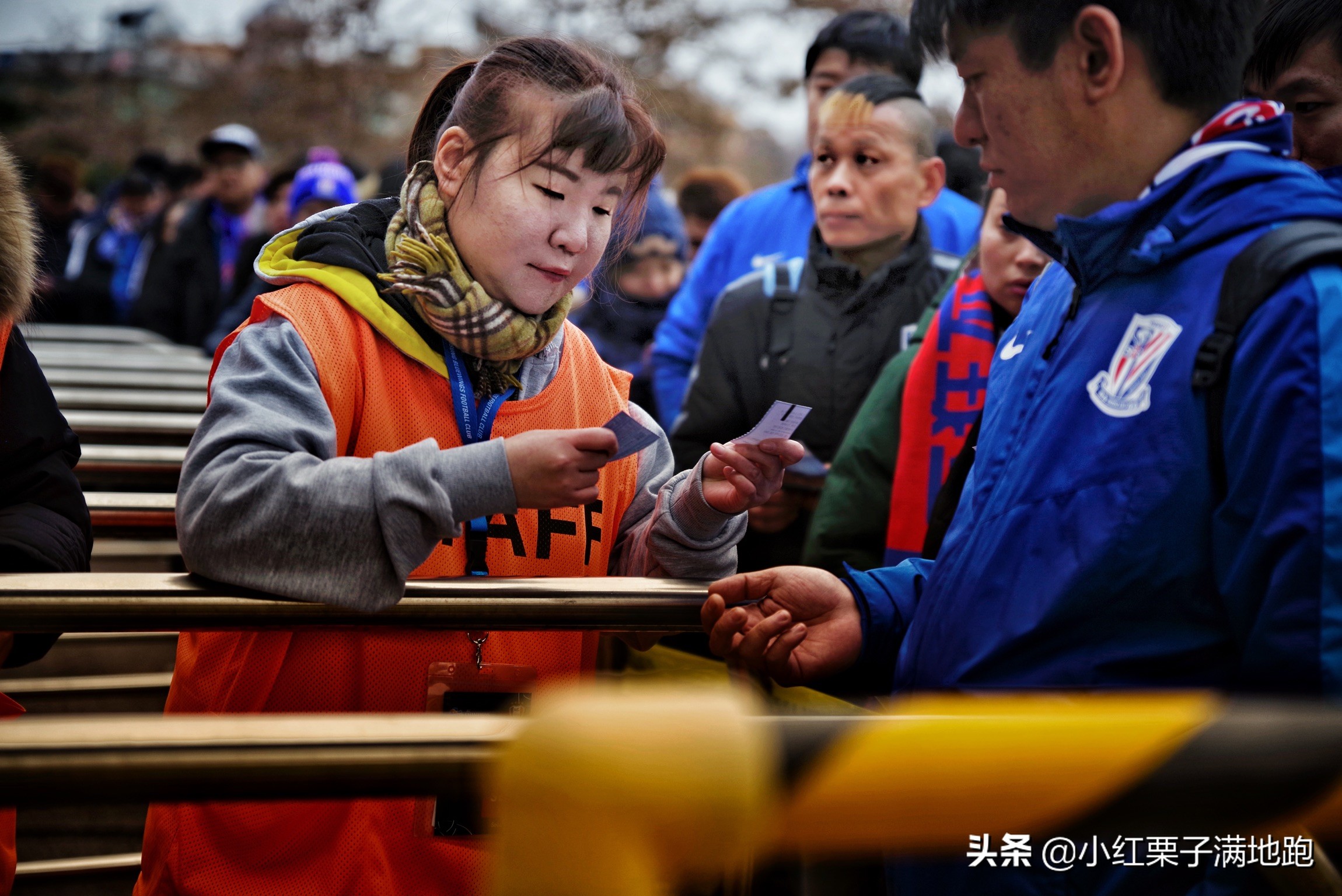 疫散花开张家界,疫散花开欢迎归来