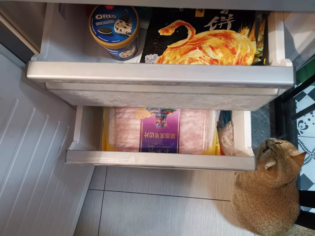 500鍗囩殑鍐扮,500涓囩殑鍐扮