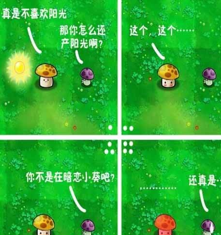 植物大战僵尸2cp,植物大战僵尸2龙舌兰cp