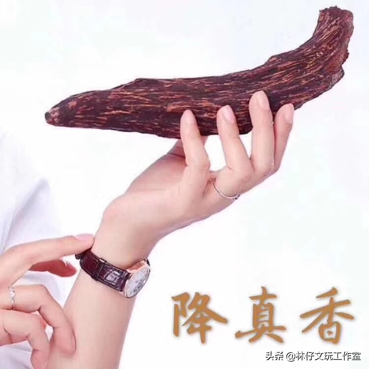 怎样分辨降真香,降真香的形成