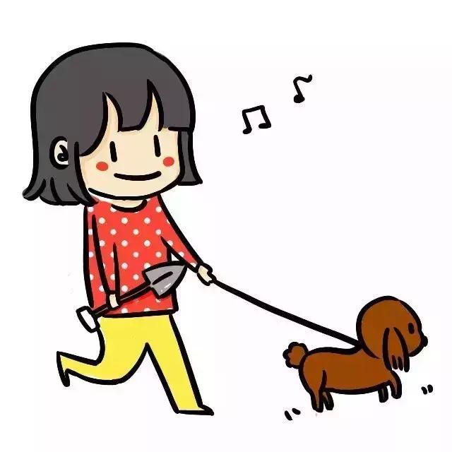 真香预警有哪些,怎样通过宠物粪便判断健康