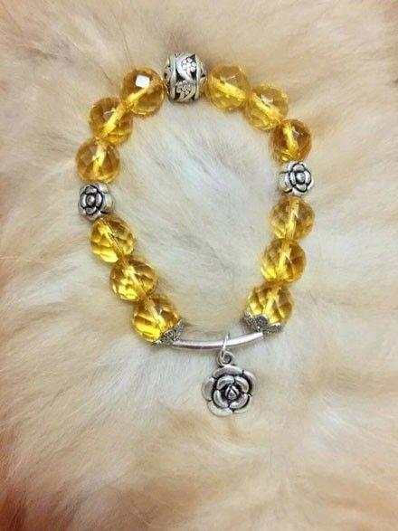 看到自家猫心情都会很好,这样的猫你会想养一只吗