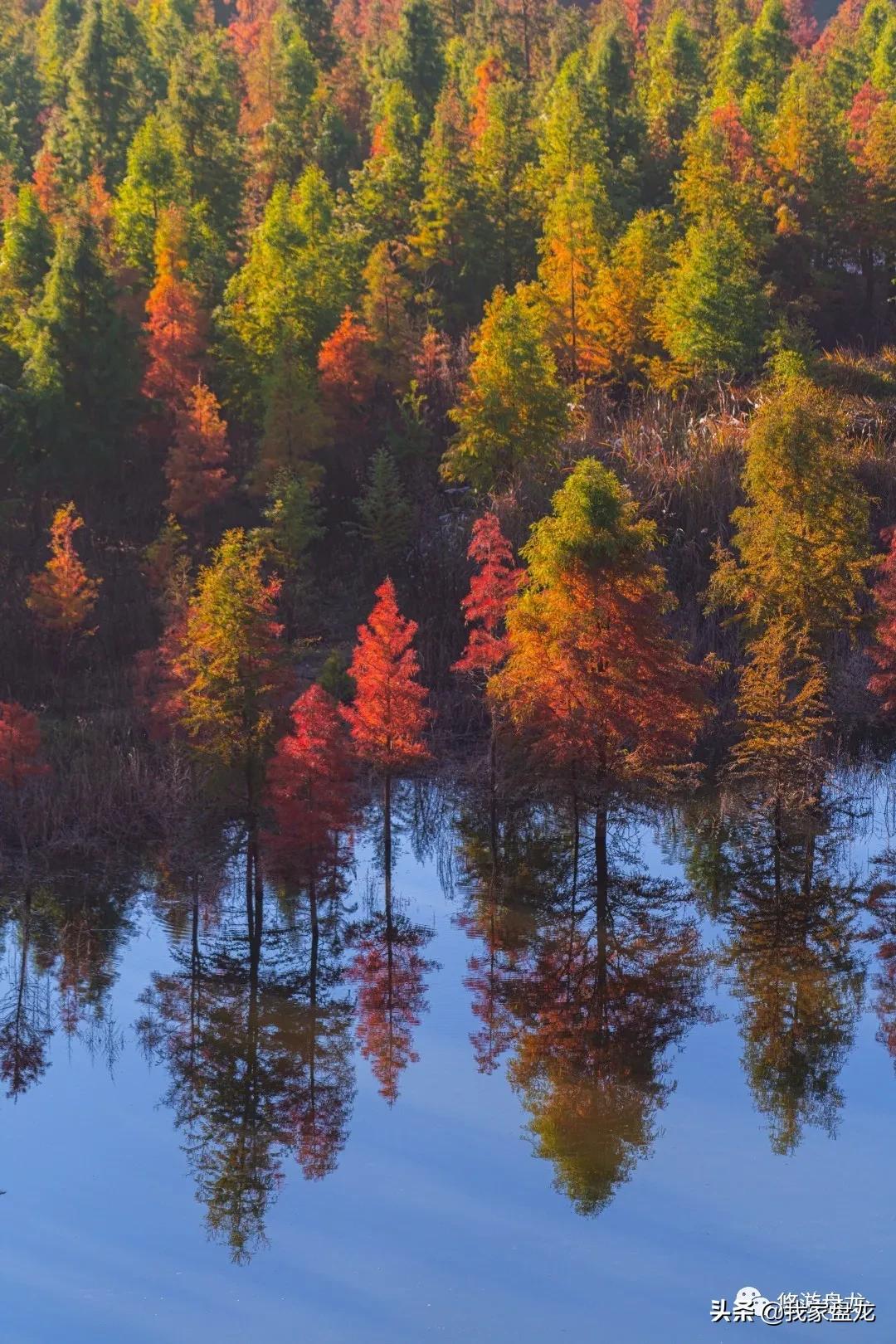 100张照片一百种幸福,100张图片带你去云南