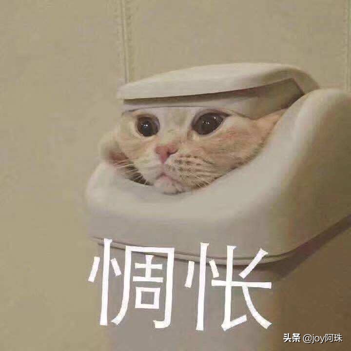 混油皮水乳推荐秋冬平价,适合混油皮的水乳套装秋冬