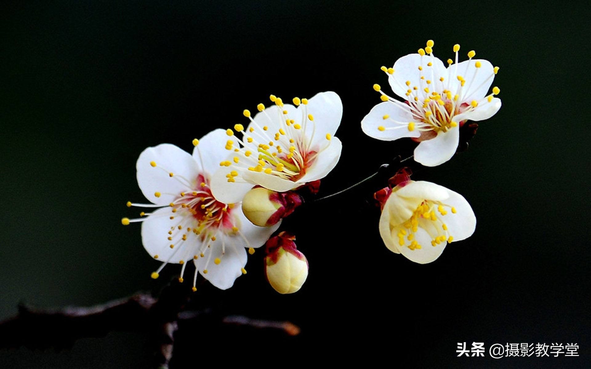 如何多拍几张照片,想要拍出好看的照片要怎么拍