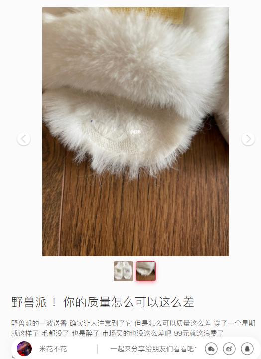 野兽派一支玫瑰多少钱,野兽派2万多的花