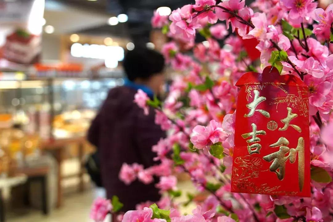 盒马鲜生会来宝业东城广场吗,盒马鲜生之旅