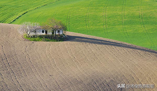 农村土地无人耕种视频,土地无人耕种怎么处理