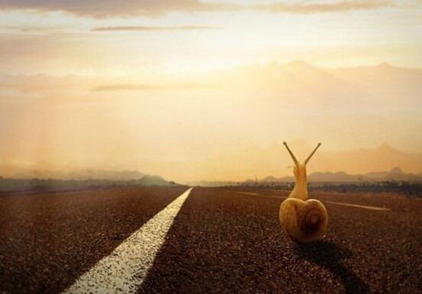 摆摊通关攻略,新手摆摊100个攻略