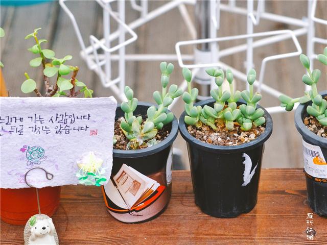 韩国之行领略异域风情,韩国自驾游感受