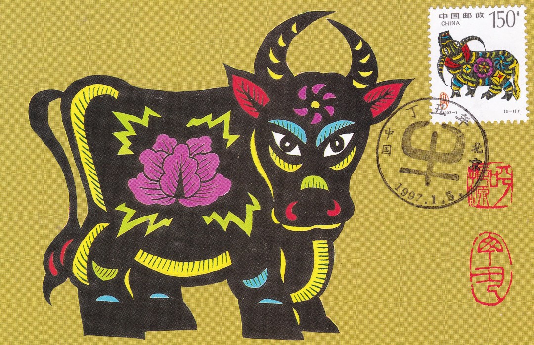 生肖牛视频大全,生肖牛第一期视频