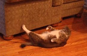 苏州中考体育选什么好,2022年体育中考评分标准表苏州