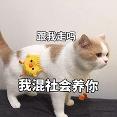 手机今日亮屏时间在哪看,看手机就亮屏的功能是什么