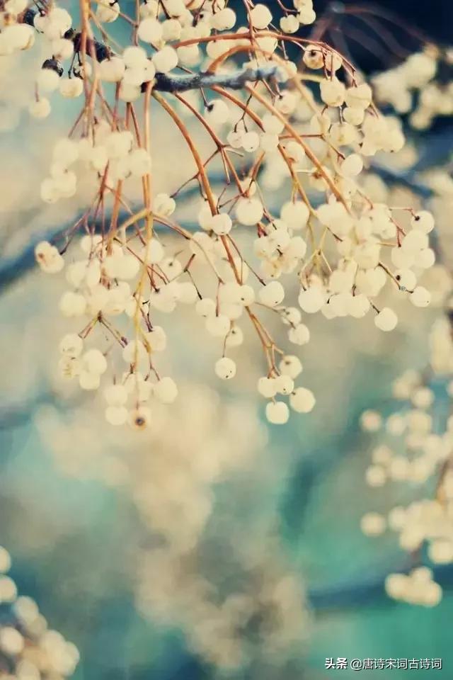 负你一生多少泪，月下花前