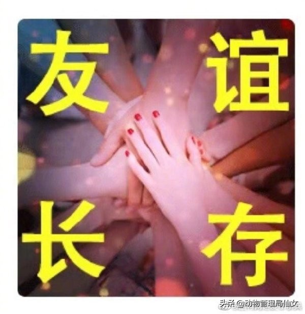 当民歌遇上爵士乐,腾格尔民歌新唱