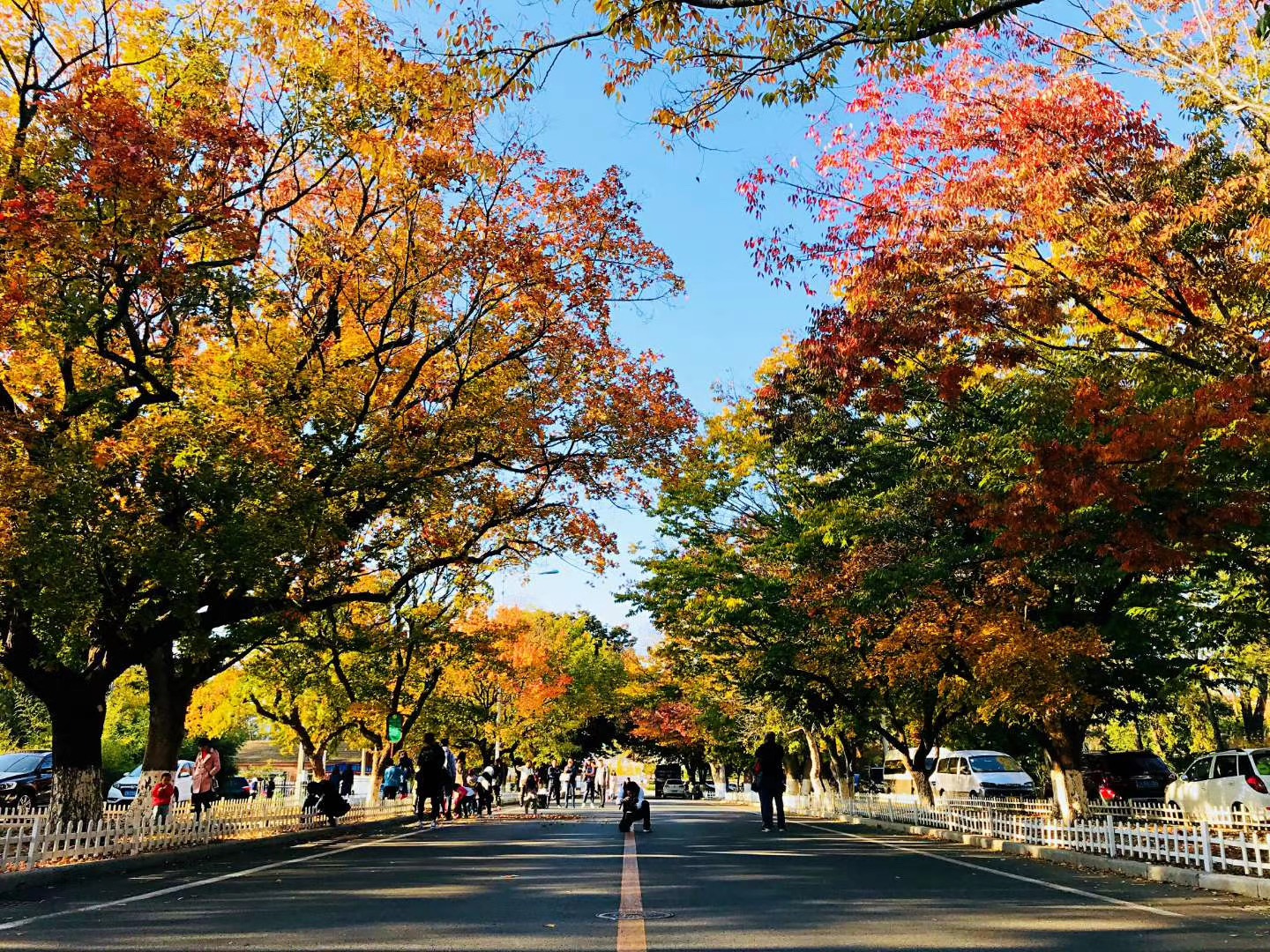 大连最不像东北的城市,大连最不值得去的地方