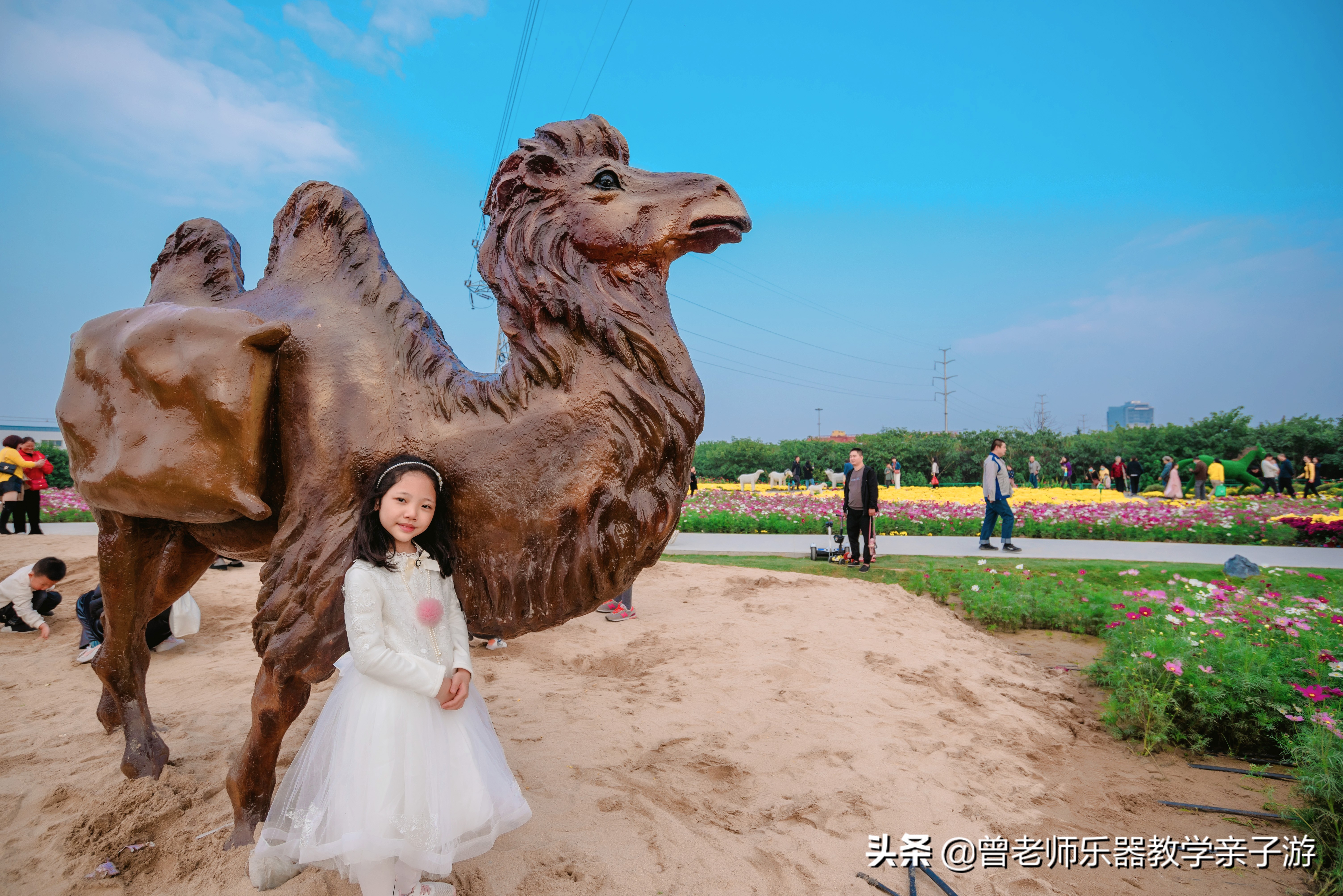 爱菊研学游,爱菊丝路文化菊花园西安