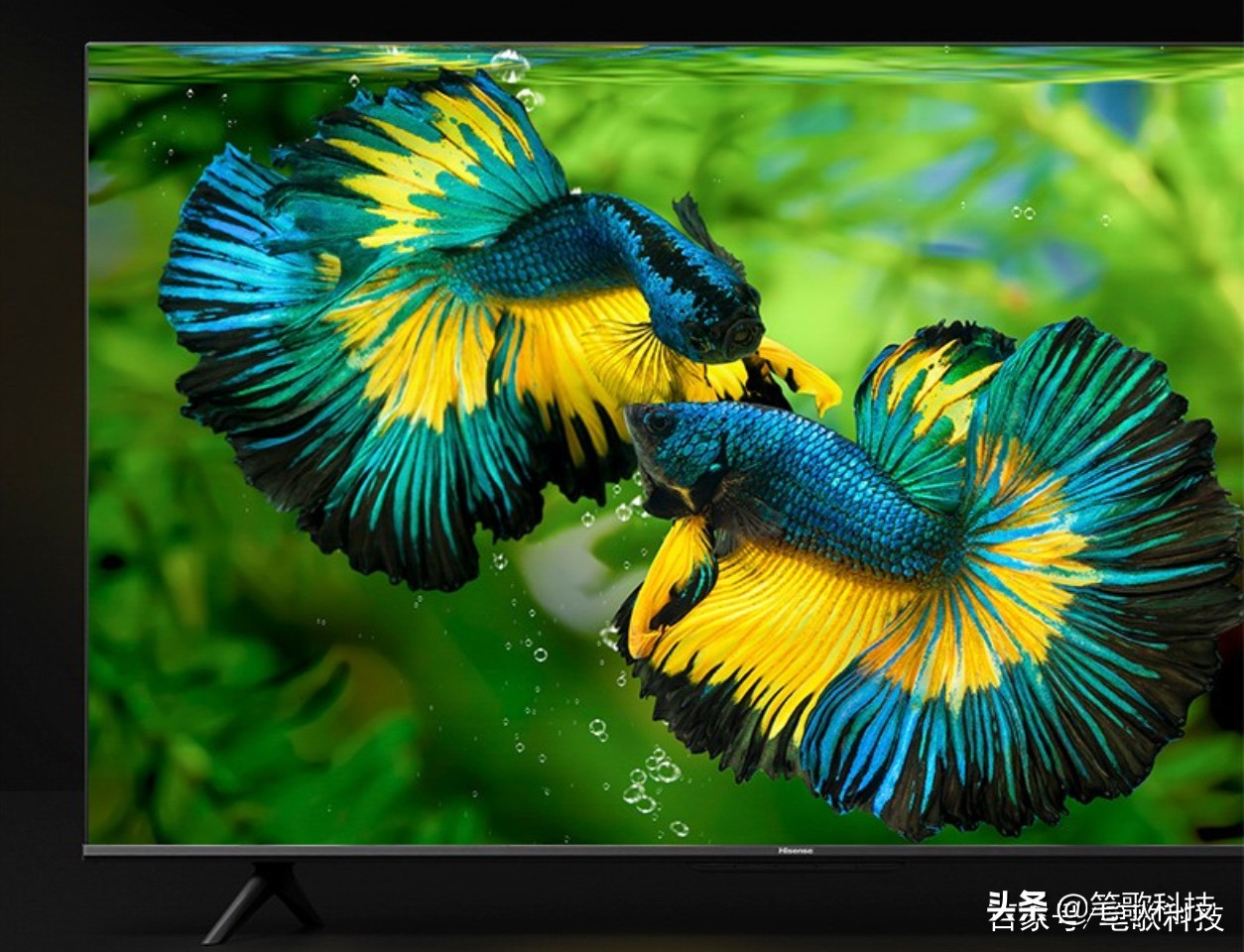 海信75e3gpro和75e3fpro哪个性价比高,海信e3系列电视哪款好