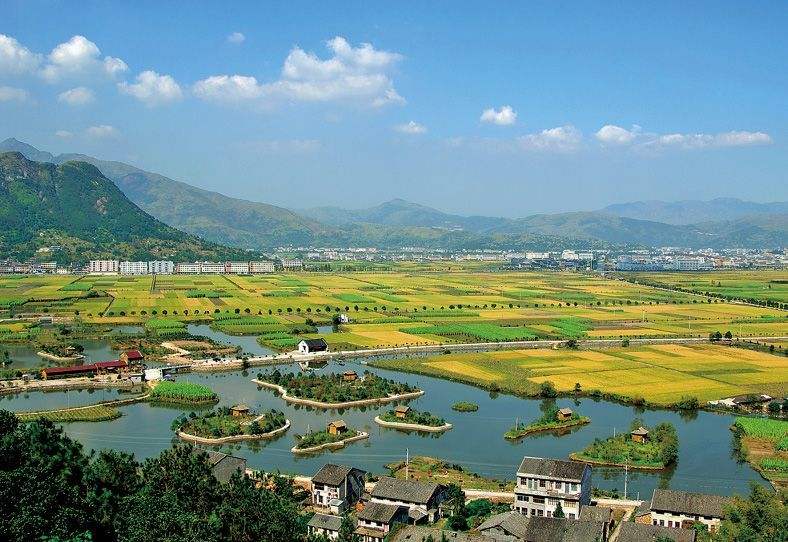 温州gdp过百亿的镇,温州市2019年各县区gdp排名