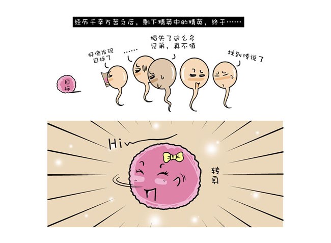 两个人都健康为什么怀不了,身体哪些表现说明不育