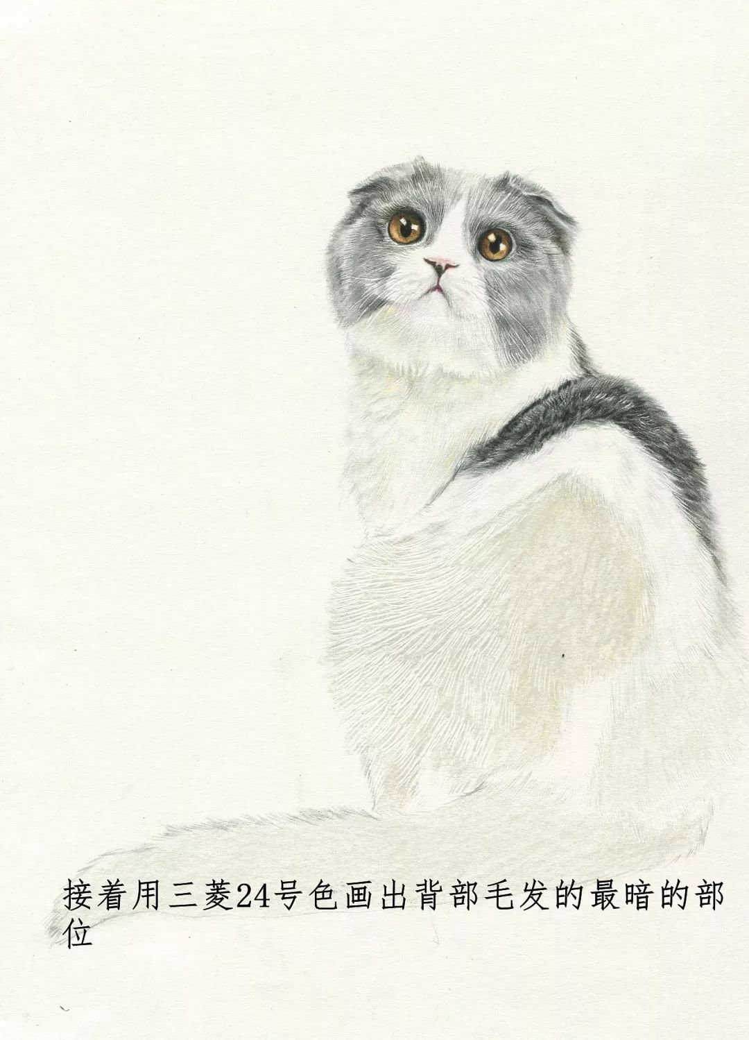 素描动物入门知识,素描动物简单入门教程狗