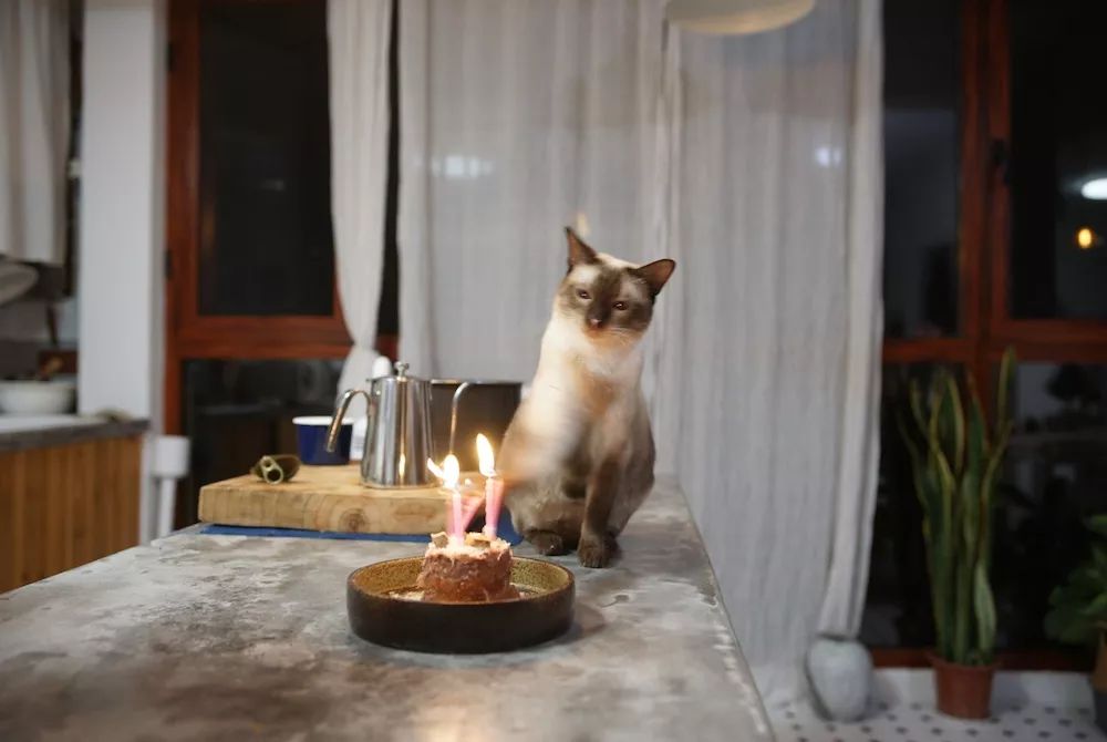 用水泥砌橱柜,用粘土捏一个好看的柜子