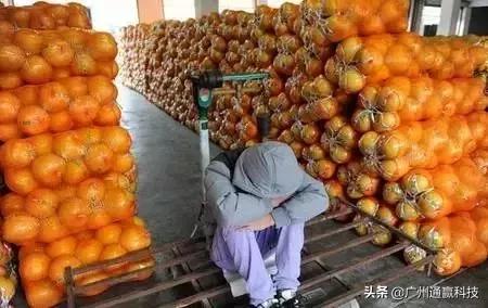 溯源农产品管理系统,溯源系统销售费用