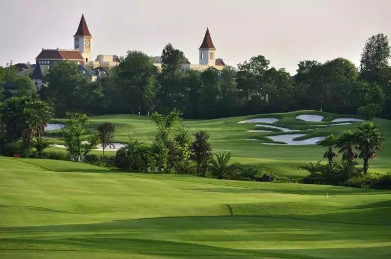 世警会真的来了吗,世警会即将举行完整版