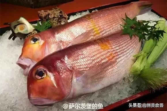 32种经典寿司做法视频,寿司常用的鱼